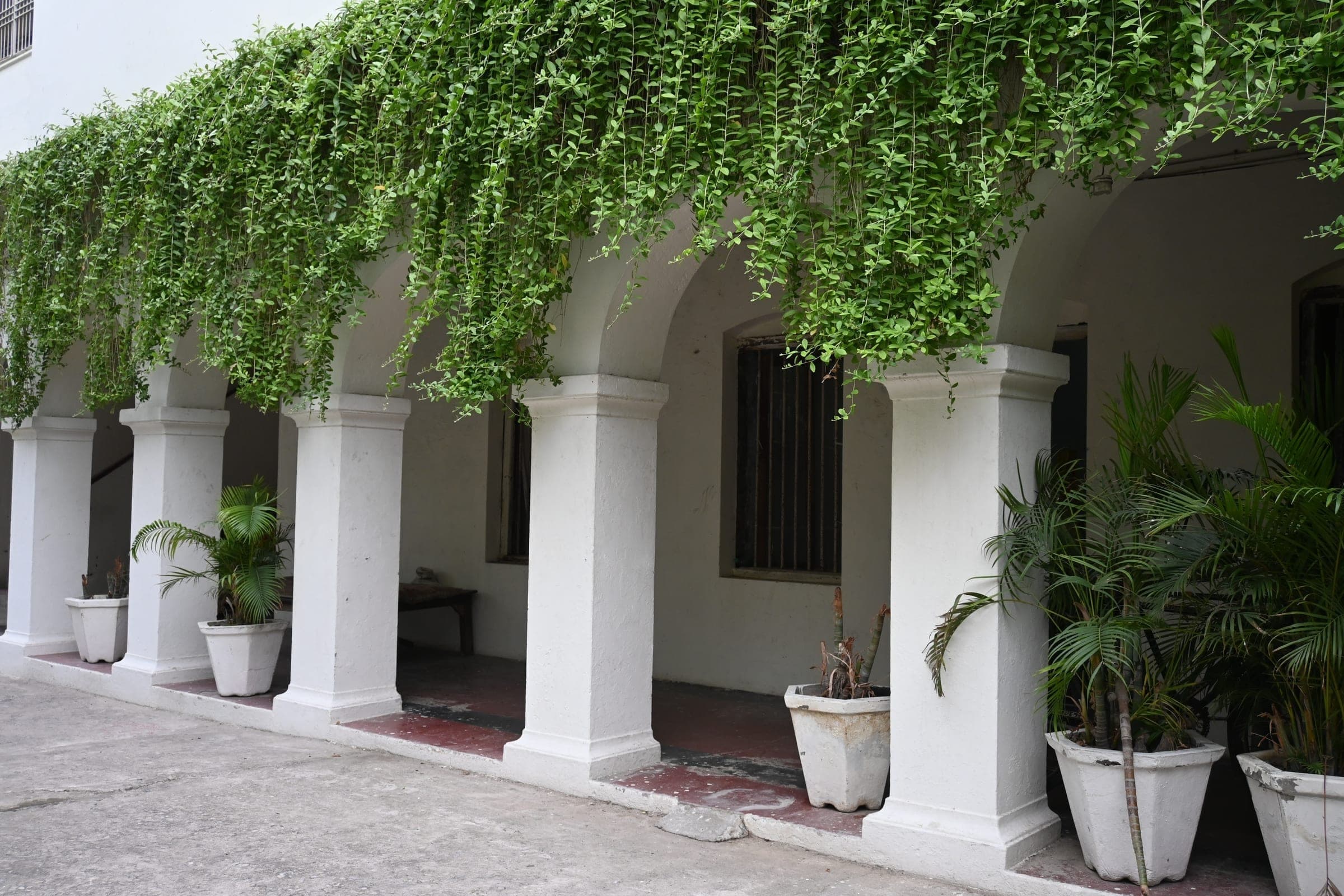 Patio and courtyard